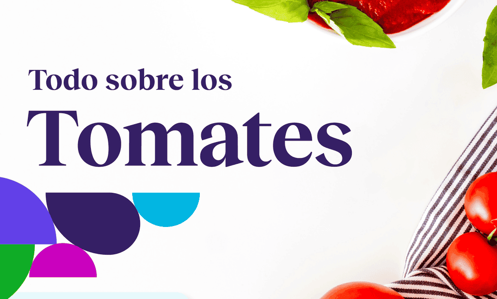 Todo sobre los tomates