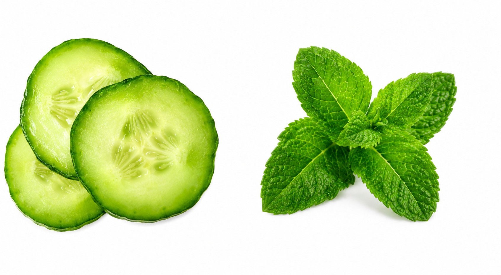 Cucumber slices and mint leaves