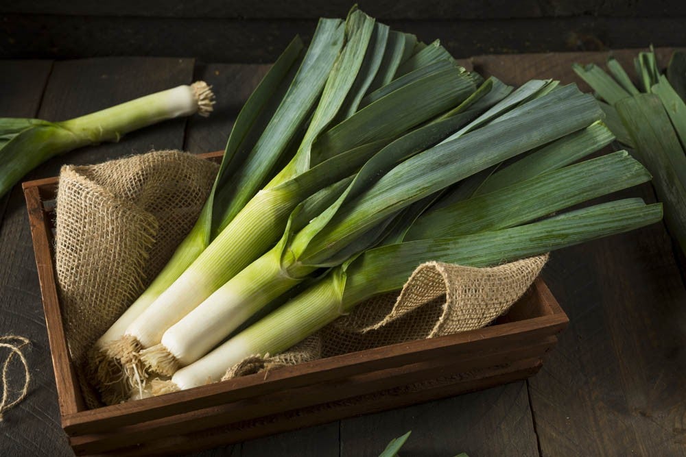 Raw Green Organic Leeks Ready to Chop
