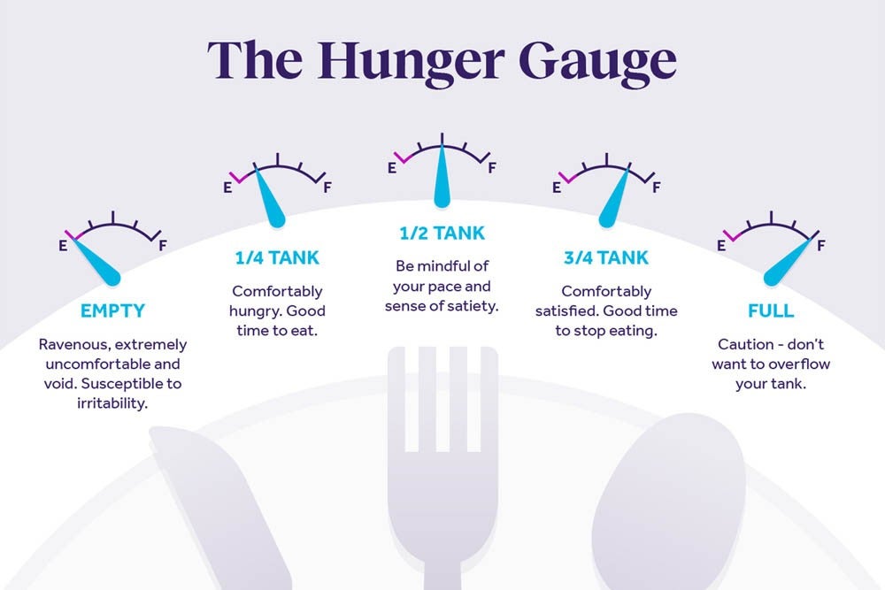  An infographic titled "The Hunger Gauge," featuring four gauges that indicate hunger levels: "Empty," "1/4 Tank," "1/2 Tank," and "Full."