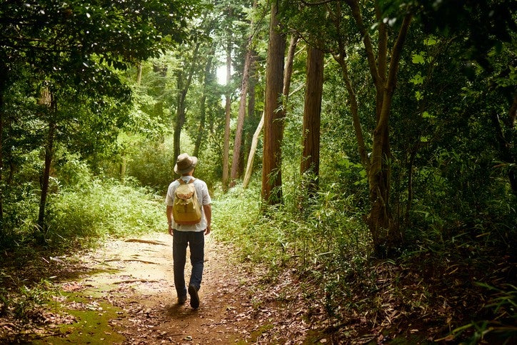 Man walking on a forest trail