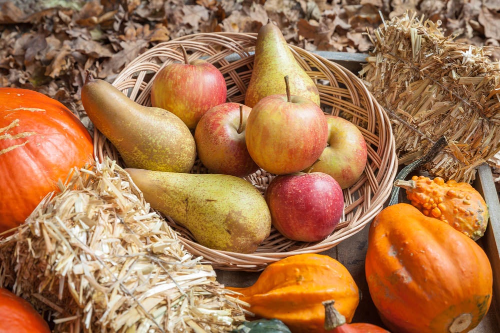 Pumpkins, apples, pears, tomatos and straw on a wooden plate.