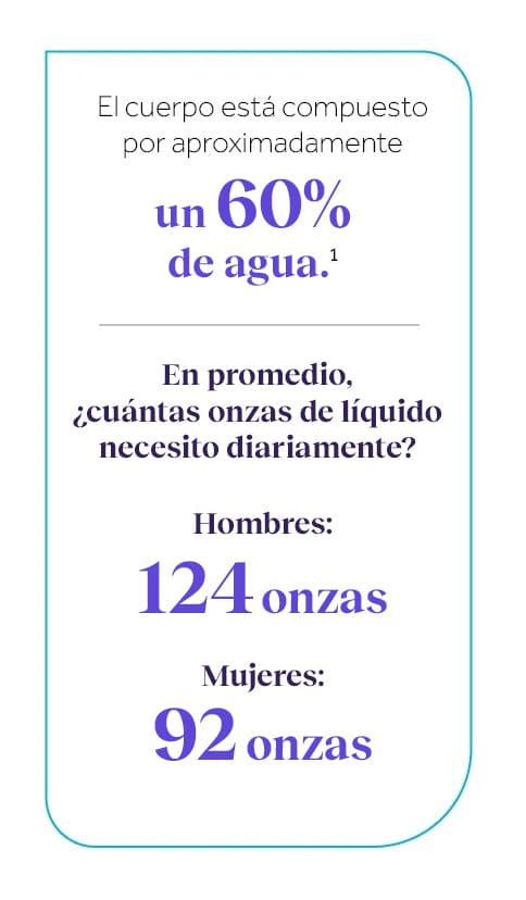Infografía que indica que el cuerpo está compuesto por un 60% de agua. Necesidades diarias de líquidos: Hombres 350 ml, Mujeres 250 ml.