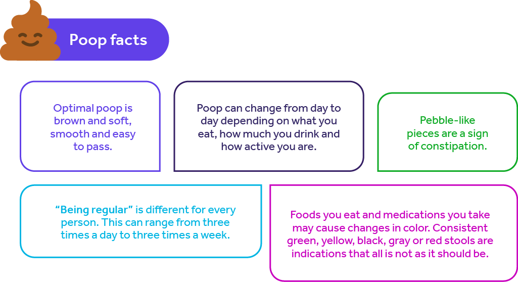 The chew: Facts about poop (graphic).