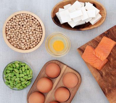 Various examples of proteins including beans, eggs, salmon and tofu 