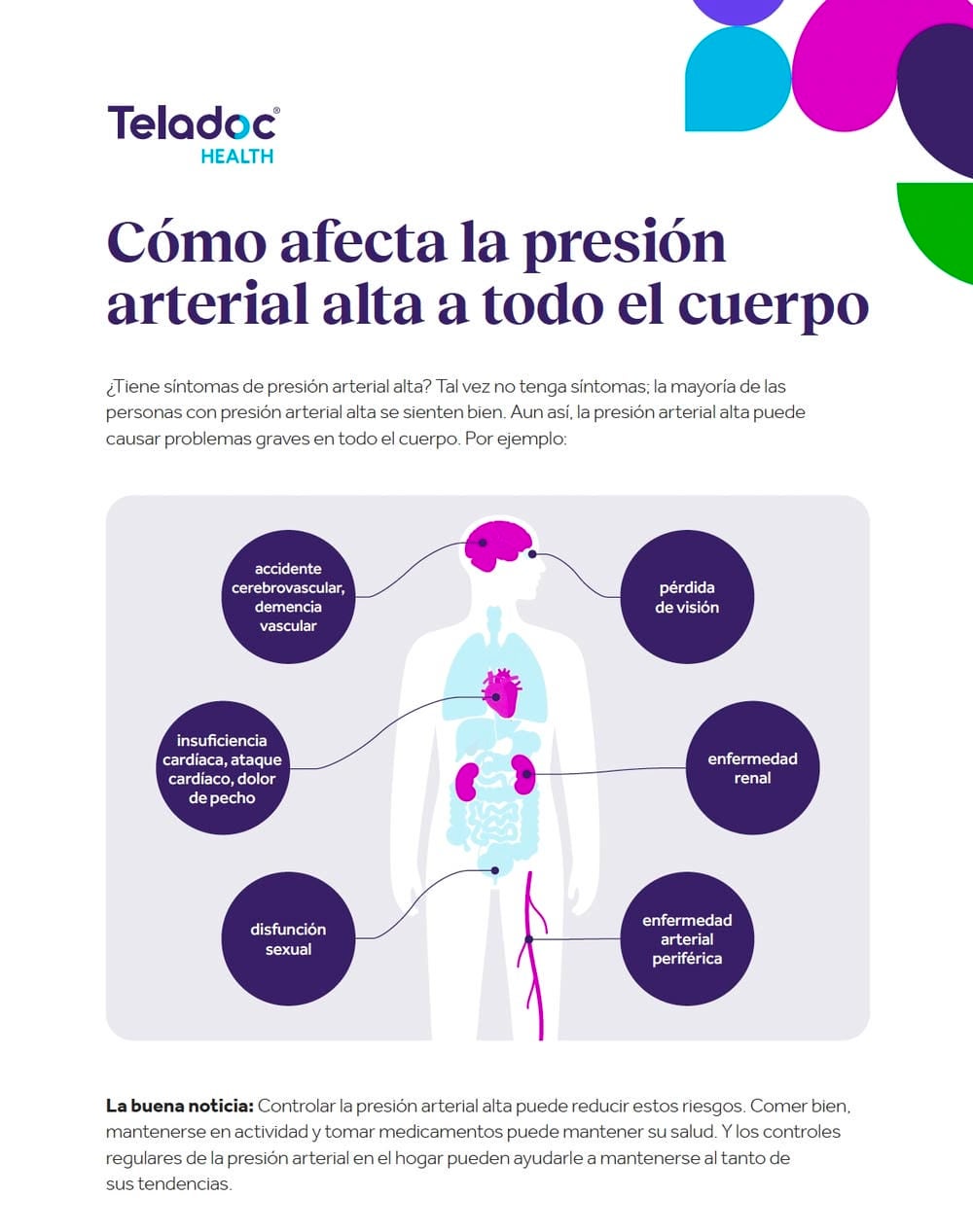 Diagrama que muestra los efectos de la presión arterial alta en diferentes partes del cuerpo.