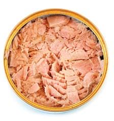 Salmon