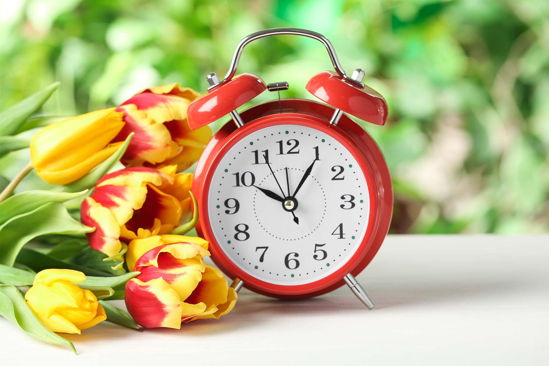 Red alarm clock showing 12 o'clock next to a bouquet of yellow and red tulips, with a blurred green background.
