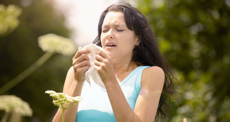 Seasonal allergies: woman sneezing. 