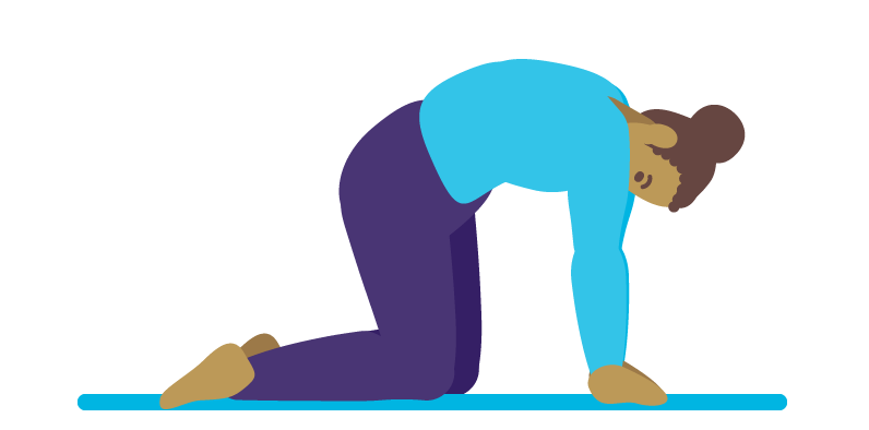 Illustration of a person performing a cat stretch on hands and knees with an arched back.