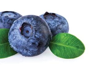 Blueberries