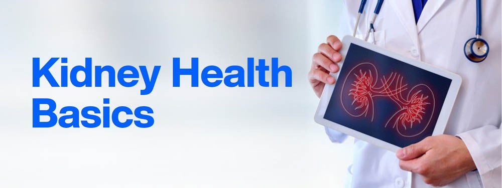 Médico sosteniendo una tableta que muestra una ilustración de riñones junto al texto Kidney Health Basics sobre fondo blanco