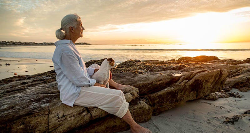 An older woman sits on a rock by the beach, holding a small dog, as she gazes at the sunset over the ocean, creating a peaceful scene.