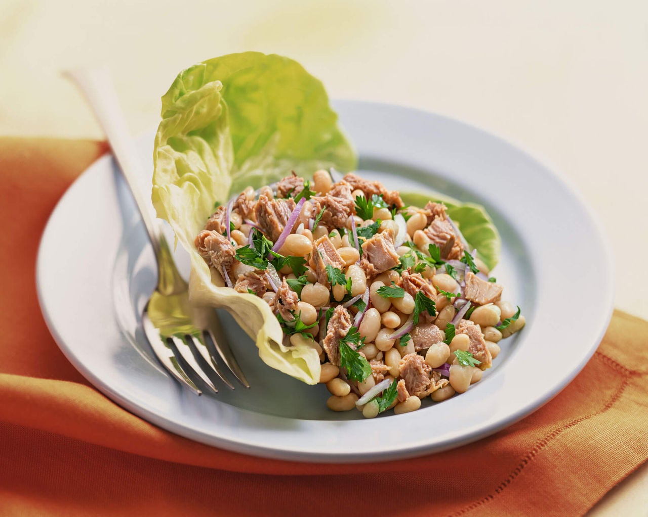 Lettuce cup filled with salmon, white beans, onions and cilantro.