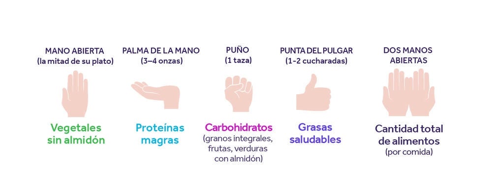 Manos posicionadas en distintas formas para indicar tamaños de porciones para los distintos grupos alimenticios