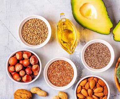 Various examples of fats including nuts, seeds, oil, and an avocado.