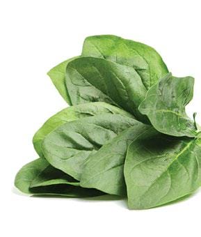 Spinach