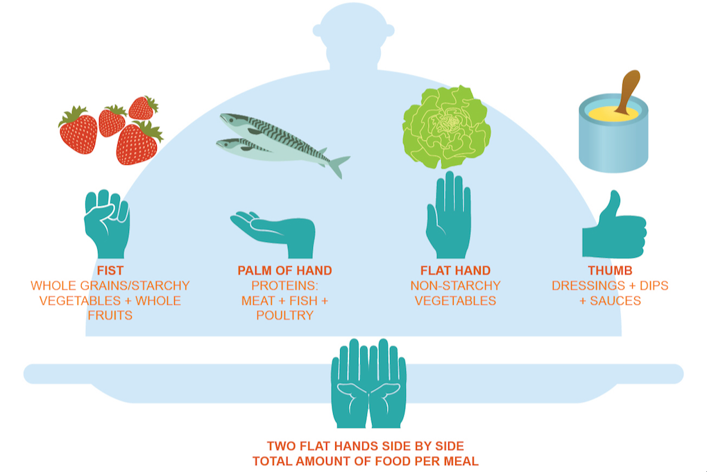 Illustration of portion control using hand sizes for different food groups: fist, palm, flat hand, and thumb, with examples of each.
