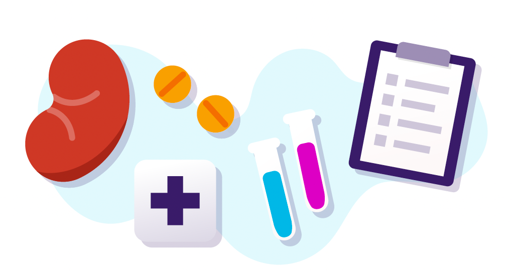 Illustration of a kidney, two pills, a medical cross, test tubes with blue and pink liquid, and a clipboard with a checklist.
