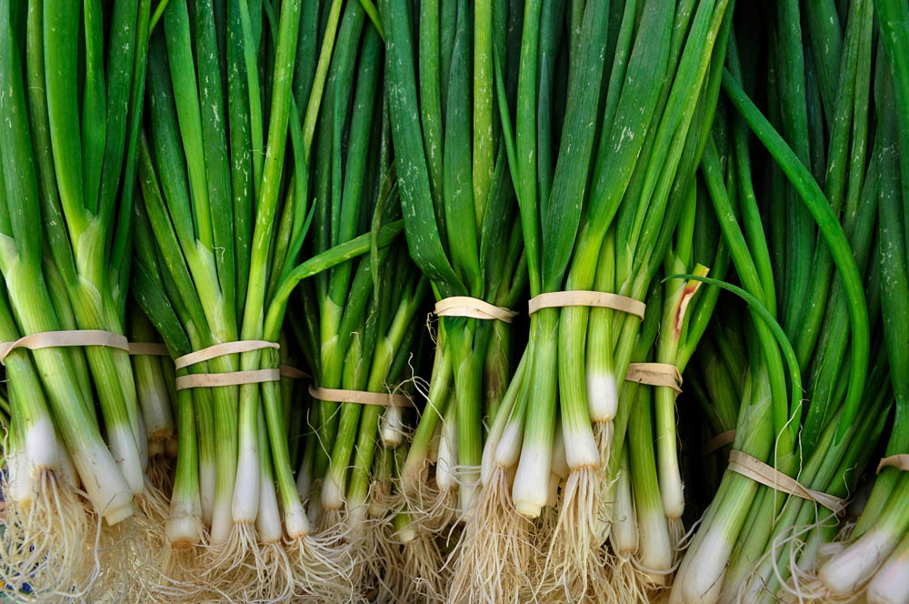 Scallions