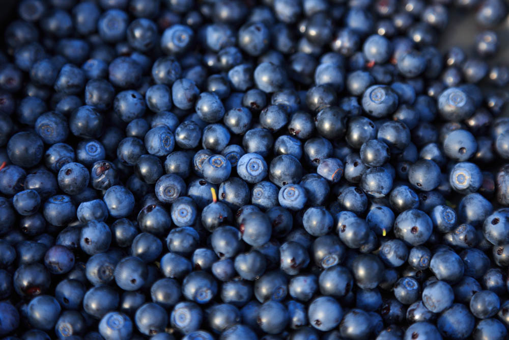A close-up of a large pile of fresh blueberries, showcasing their deep blue color and round shapes.