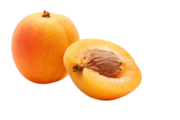 Apricots