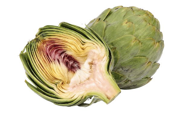 Artichoke