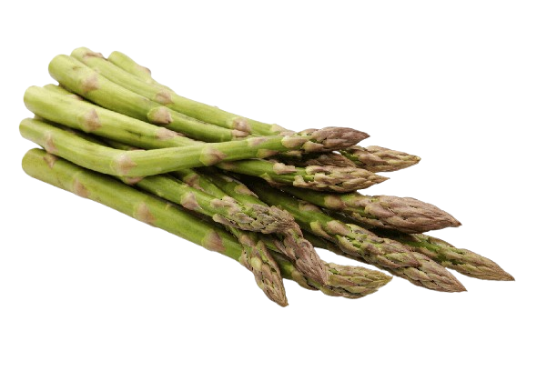 Asparagus