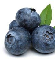 Blueberries