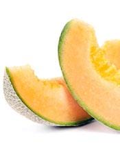 Cantaloupe