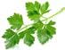 Parsley