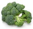 Image of broccoli