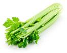 Image of celery