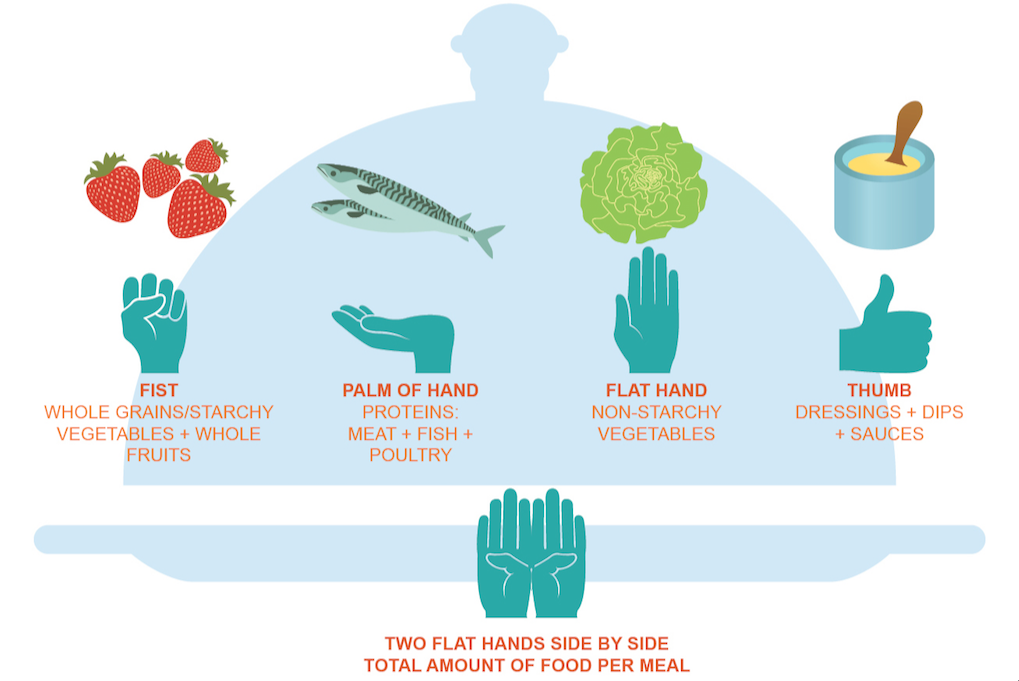 Hand-based portion guide for balanced meals.