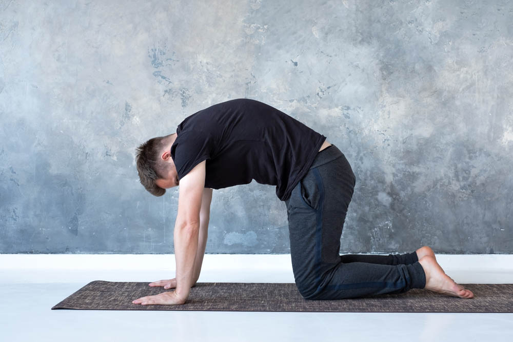 A person in a yoga pose, specifically the cat pose, with their back arched and hands on a yoga mat, set against a textured gray wall.