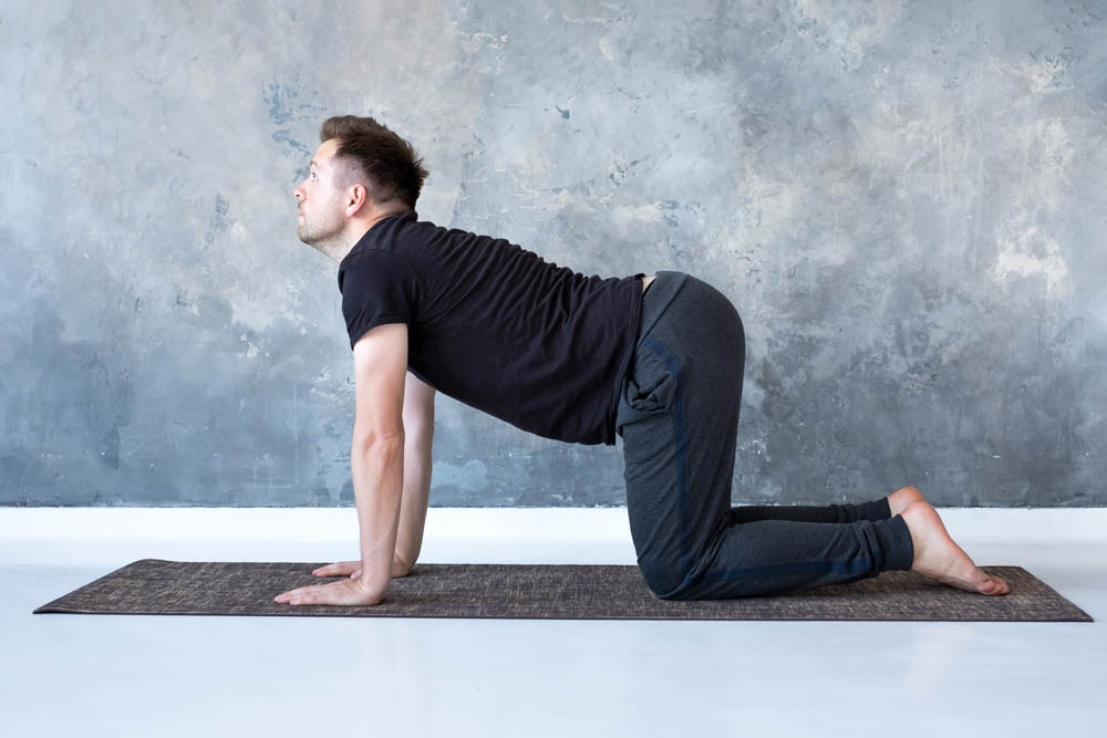 A person performing the cow pose in yoga, with their back arched and head lifted, resting on a yoga mat against a textured gray wall.