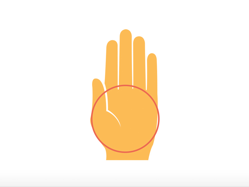 Palm.jpg