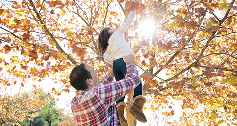 A man holding his daughter up so she can pick leaves from a tree