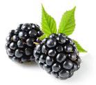 Image of blackberrie