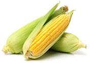 Image of corn