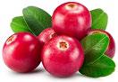 Image of  cranberries