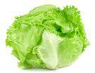 Image of lettuce