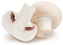 Image of mushrooms