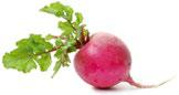 Image of radishes