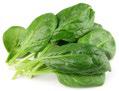 Image of spinach