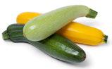 Image of summer squash