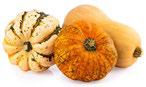 Image of winter squash