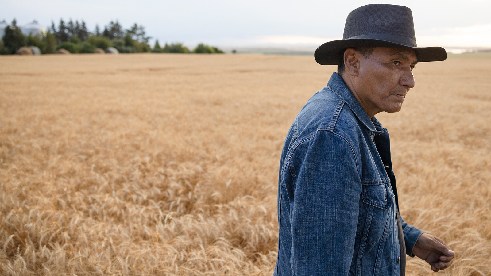 Man walking in a field