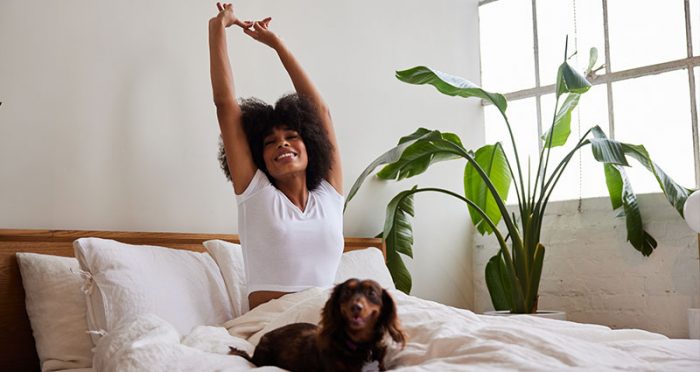 Happy woman waking up in bed stretching next to her dachshund dog
