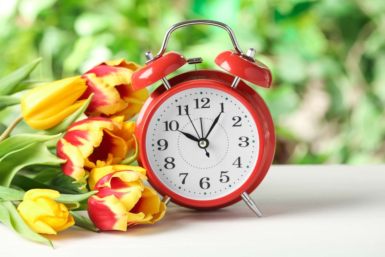 Red alarm clock showing 12 o'clock next to a bouquet of yellow and red tulips, with a blurred green background.